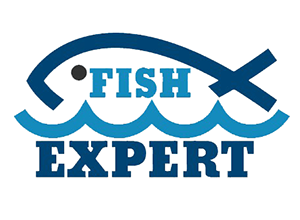 17 Fish Expert Limited